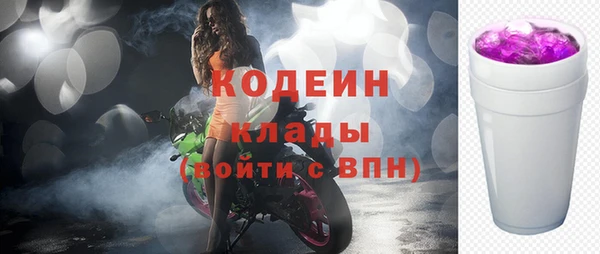 дживик Верхний Тагил