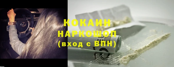 дживик Верхний Тагил