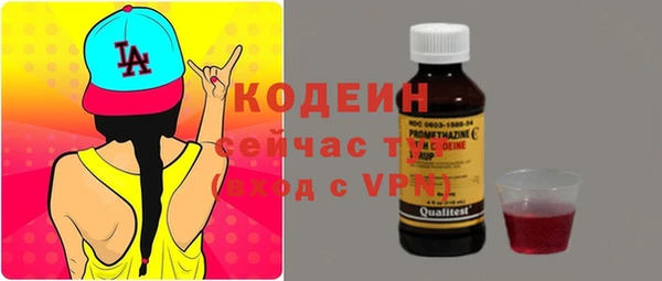 дживик Верхний Тагил