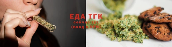 дживик Верхний Тагил