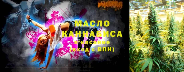 дживик Верхний Тагил