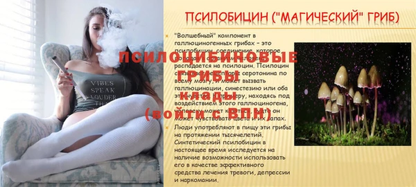 бошки Верея