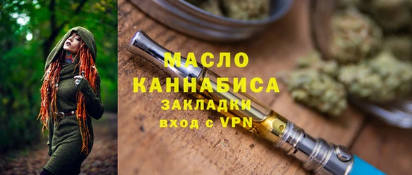 дживик Верхний Тагил
