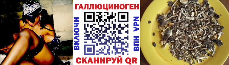 Галлюциногенные грибы прущие грибы  где можно купить   blacksprut вход  Новороссийск 